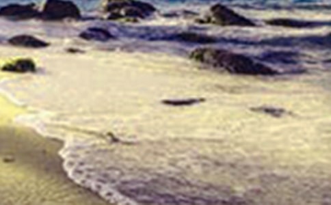 С�(zh��n)�����c��������