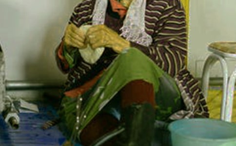 �ɹ��������Ľ�B