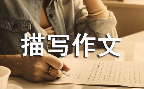 ���������茑����8ƪ