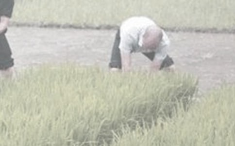 �W(xu��)�r(n��ng)���(d��ng)���Y(ji��)�����x15ƪ��