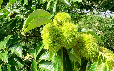 �r(n��ng)�Ҙ�(l��)�������U��ͬ