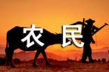 農(nóng)民養(yǎng)老保險(xiǎn)調(diào)研報(bào)告(精選6篇)