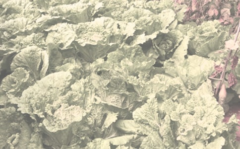 �r(n��ng)����N��ُ�N��ͬ����