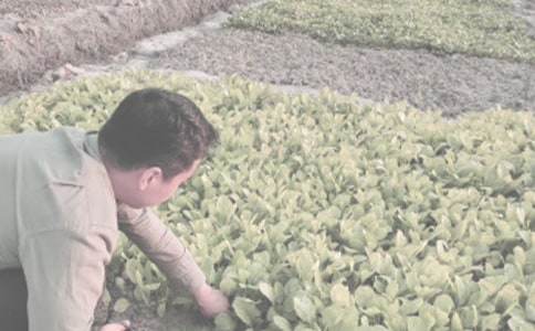 �r(n��ng)����N��ͬ�R��9ƪ