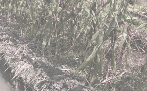 ɽ���r(n��ng)�����I�u��ͬ