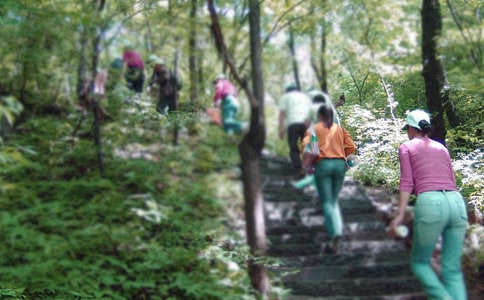 ��ɽ����ӛ