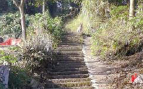 ���x��ɽ��ӛ�����\��8ƪ