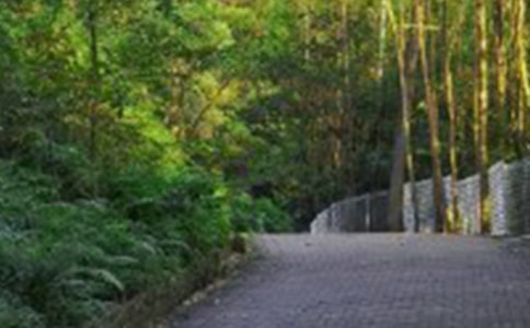 �ҵ���ɽ�v����ӛ���\6ƪ