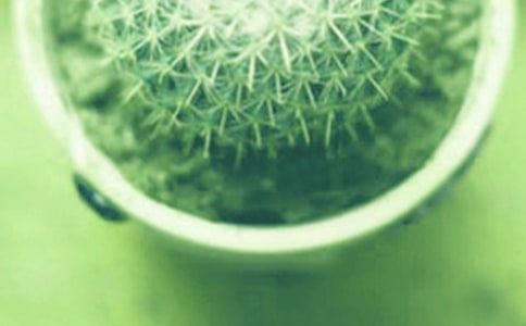 �ҵ�С��������8ƪ