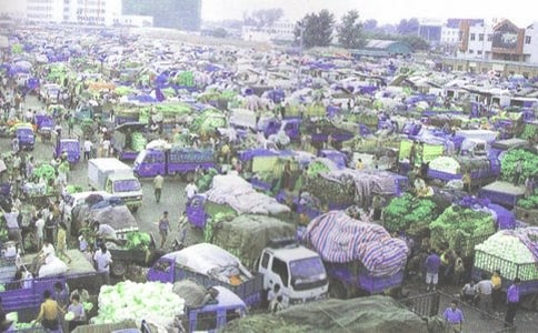 ��܇���l(f��)ُ�N��ͬ����