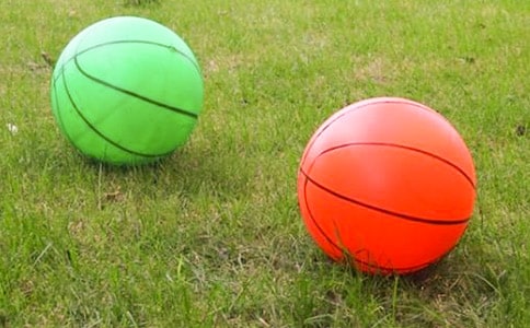 ��Ƥ��С�W(xu��)����