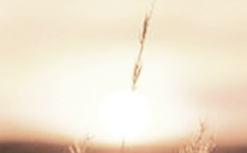 ���ƕ�ǰ����-100��