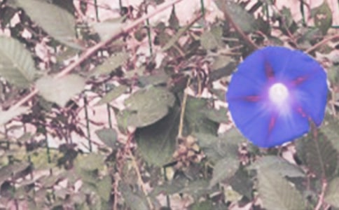 ���������꼉(j��)��������900��