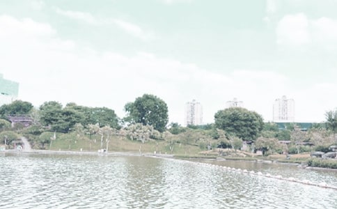 ��ǧ��������400�֣�ͨ��19ƪ��