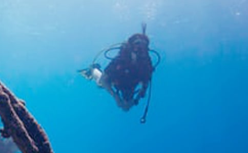 ���Ý�ˮ����ͬ9ƪ