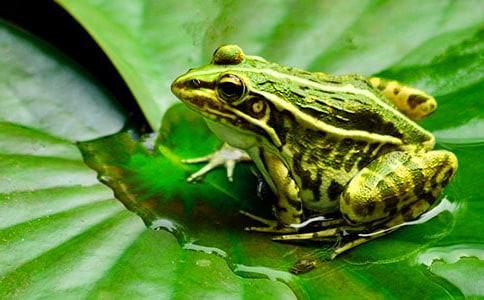 ���o(h��)���ܳ��h��ʮƪ