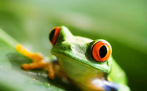 ���o���ܳ��h��