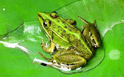 ������܊�F�۵��򡷵��x���600�֣�ͨ��16ƪ��