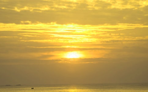 �����ճ�����ӛ����