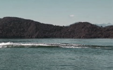 �_(t��i)���������c(di��n)����̶����