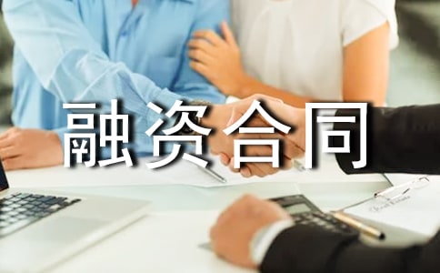 企業(yè)兼并融資合同