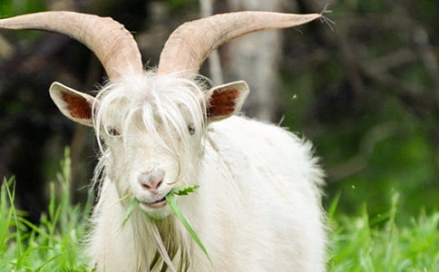 �ǸC���ɽ��Ъ���Z