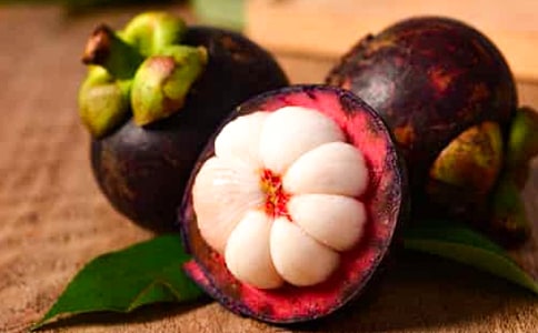 ɽ�������