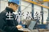2017年安全生產(chǎn)總結(jié)范本