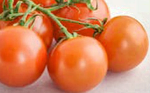 ʥŮ���Ķ��꼉����