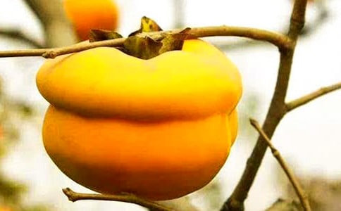 ����³��Z(y��)����������