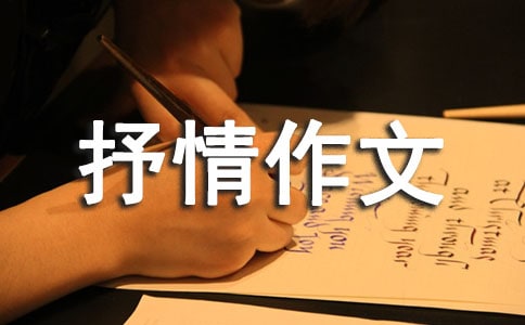 �����������Ĵ�ȫ