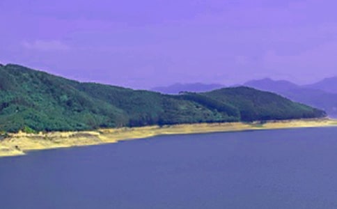 ���շ��ӎXˮ�쌧(d��o)���~ͨ��