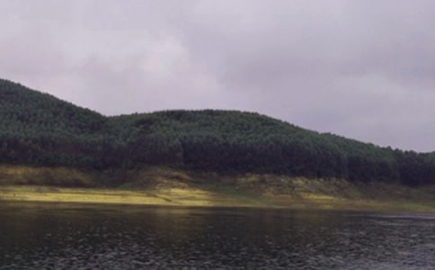 ˮ��а���ͬ(�ϼ�15ƪ)