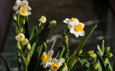 ˮ���^����ӛ(�ϼ�)