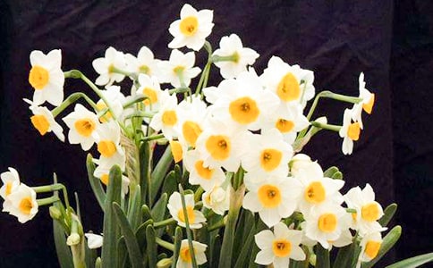 ˮ�ɻ��^����ӛ15ƪ����(y��u)�㡿