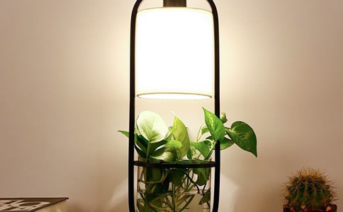 �ҵđ�(zh��n)���_����������