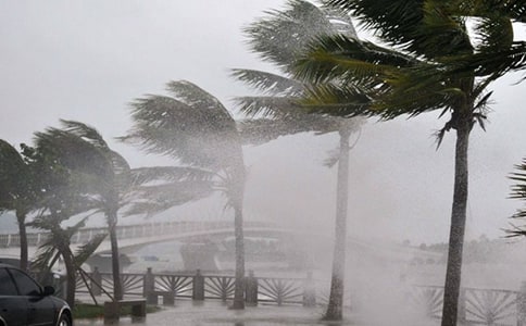 �P(gu��n)�ڷ��_�L(f��ng)֪ͨ�����x14ƪ��