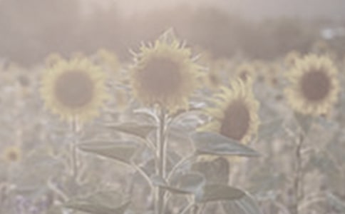 �^��̫�(y��ng)��������