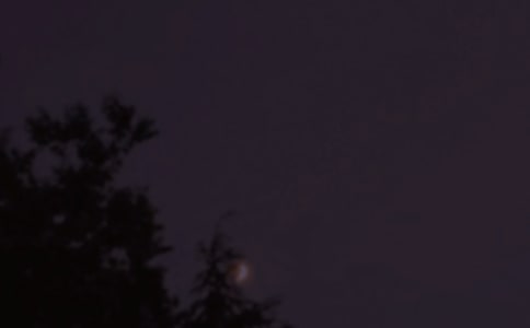 2023�꾫�x������(w��n)���Z(y��)����77��