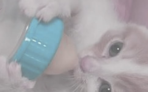 ����ҹ�gι�̻������R