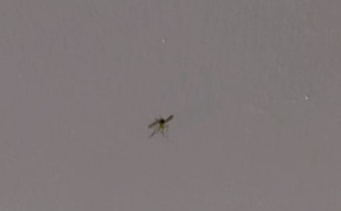 �P(gu��n)�����������ӵ�Ъ���Z(y��)