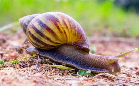 ΁ţ�^����ӛ���ķ���