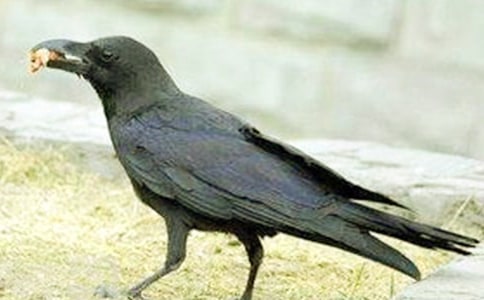 ���f��ˮ�x��з���100��5ƪ