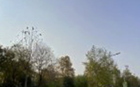 ����Ȧ�簲�Z�80��