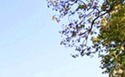 ��(j��ng)�������簲���Z�R����ͨ��80�䣩