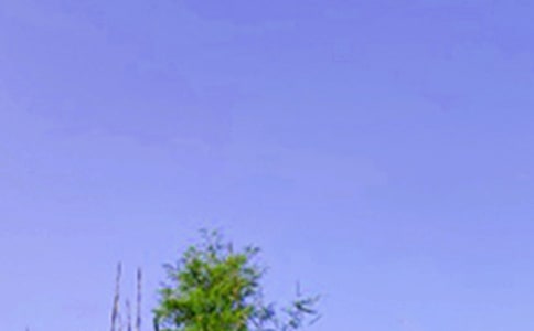 �P(gu��n)��ů���簲���ӣ����x30�䣩