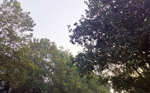 【必備】正能量的午安語錄匯總60條