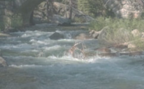 ����Ϫ���ľ���