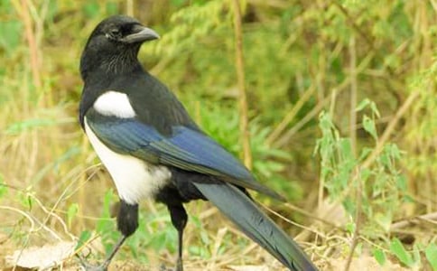 ϲ�oͯԒ����400����ƪ