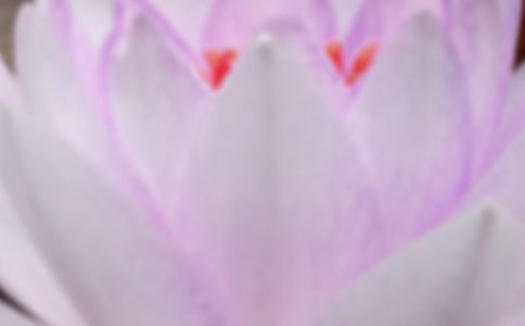 ��������Щ��(x��)�׽���